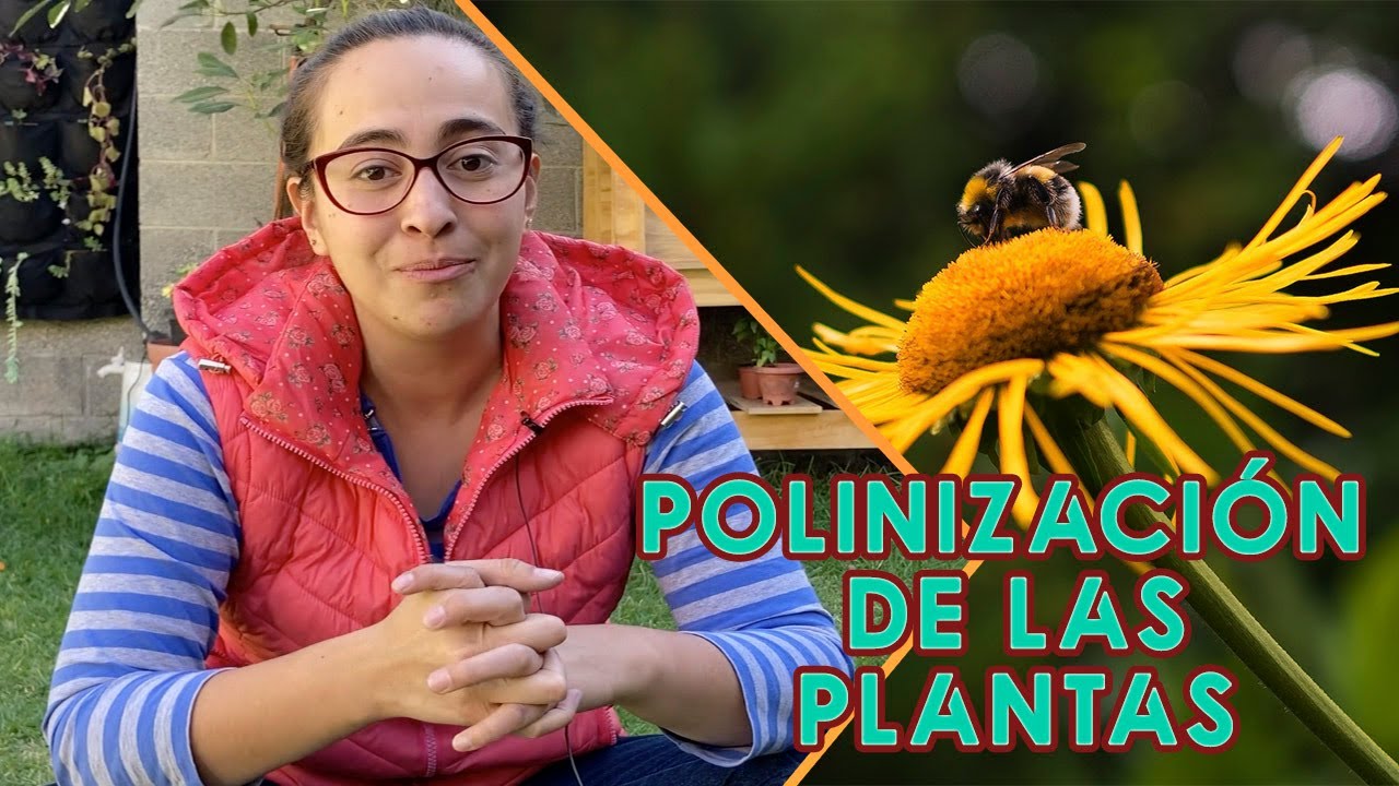 La Importancia de la Polinización en las Plantas
