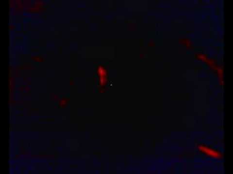 Palio delle Barche 2008 - Motosega atto II°