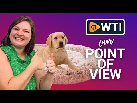 MFOX Calming Dog Beds - WTI product video review