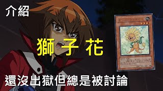 [閒聊] 遊戲王實卡最經典的主角牌是遊星的嗎？