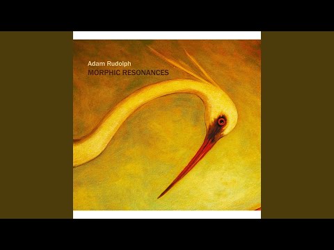 Morphic Resonances (performed by Momenta String Quartet)