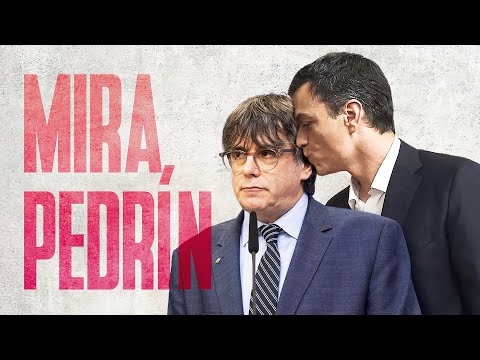 ¡MIRA, PEDRÍN! 🎵 | PUIGDEMONT y PEDRO SÁNCHEZ negocian AMNISTÍA y REFERÉNDUM | Las Ketchup - ASEREJÉ