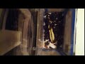 IMG 4202 71