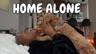 #94 A DAY IN THE LIFE OF A LONELY YOUTUBER AND HER DOG