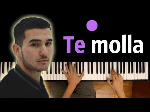 Arnon - Te Molla (feat. Killua) ● караоке | PIANO_KARAOKE ● + НОТЫ & MIDI