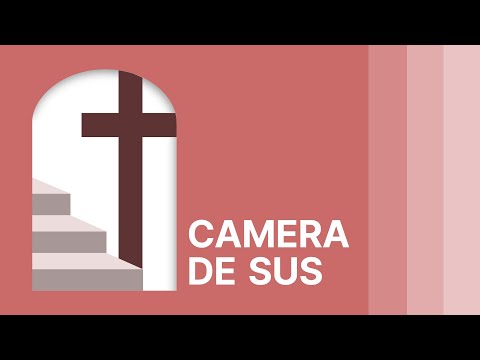 Daniel Coteanu / Emi Zarnescu - Rut 1:1-2:23