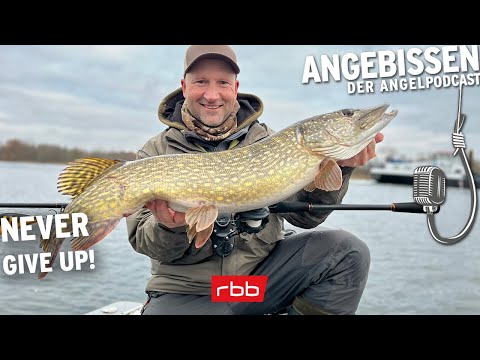 Winterhechte mit Jerkbaits - die Jan Borek-Methode | Angebissen #72