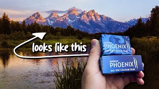 Phoenix II is Incredible!