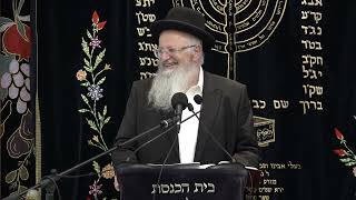 תורה של אהבת ארץ ישראל | הרב שמואל אליהו | קול צופייך לפרשת מטות מסעי תשפ"ה (הרב שמואל אליהו) - התמונה מוצגת ישירות מתוך אתר האינטרנט יוטיוב. זכויות היוצרים בתמונה שייכות ליוצרה. קישור קרדיט למקור התוכן נמצא בתוך דף הסרטון