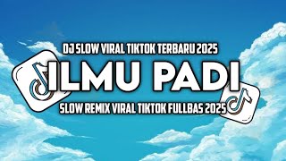 Download lagu Dj Slow Remix !! Ilmu padi ~Didik budi & sadewok ( Naya Project ) mp3