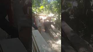 Download lagu nikmati saja prosesnya. #music #remix mp3