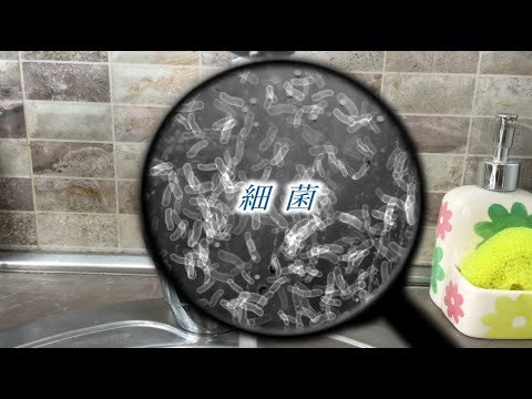 【ココカラ】Research50「細菌の世界」/金沢大学研究紹介動画