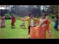 Ammayi Ammayi Video Song Praja Rajyam Movie Krishna Jayapradha Shalimarcinema