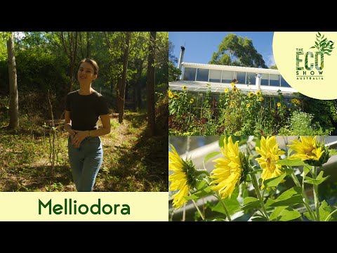 The Eco Show - S01E01 - Melliodora