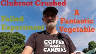 Failed experiment | Clubroot crushed | A fantastic vegetable | Allotments For Fun and Food