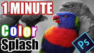 Photoshop CC Tutorial How to Color Splash - Partial Black and White (Fast Tutorial)
