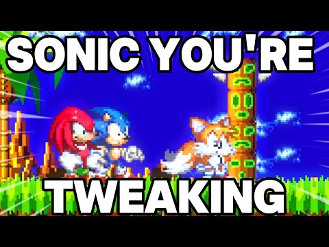 A Normal Day with Team Sonic