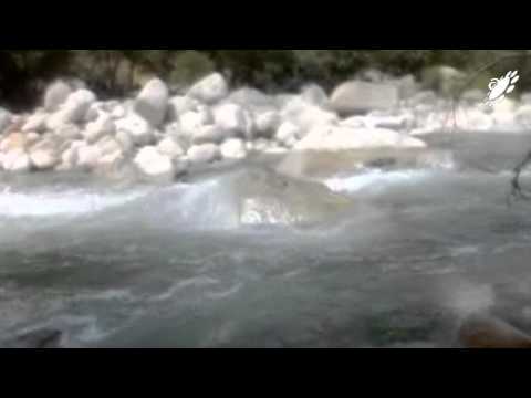 Carlos Gallardo Peyton - Let it Go