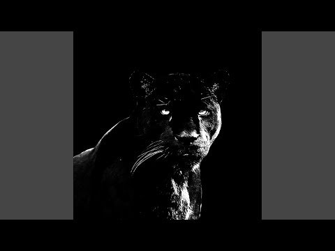 FINAL ROUND (SUPER SLOWED)