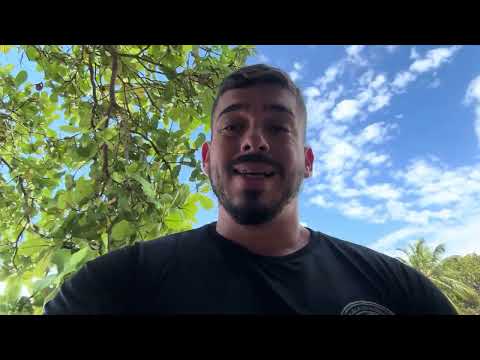 Exclusive news - GCM Cabo de Santo Agostinho.