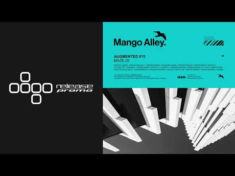 PREMIERE: NOIYSE PROJECT & Bynomic - Hyperquantum (Maze 28 Remix) [Mango Alley]