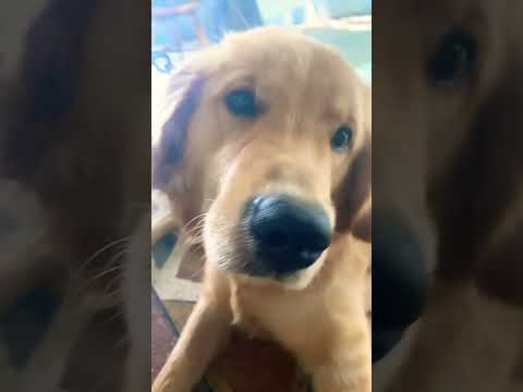 Misbah popiopio ❤️