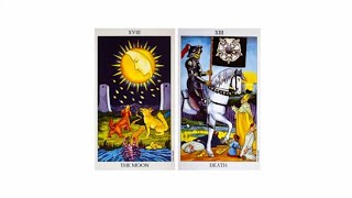 Milla Jovovich | It&#39;s Your Life (Runner &amp; Chaser Remix) | The Scorpio In Love