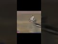 KAPTAIN ROBBIE KNIEVEL JUMPS OVER THE GRAND CANYON!