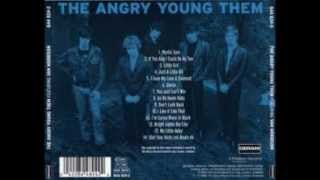 Them - The Angry Young Them - If You And I Could Be As Two (1965)
