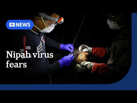 Airport security increased to prevent Nipah virus spread | The World | ABC NEWS