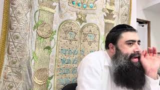 זרא שמשון פרשת שלח דרוש 1 רבי גבריאל שמעונוב