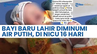 Bayi Baru Lahir Diminumi Air Putih oleh Nenek sebab ASI Tak Keluar, Berakhir di NICU 16 Hari