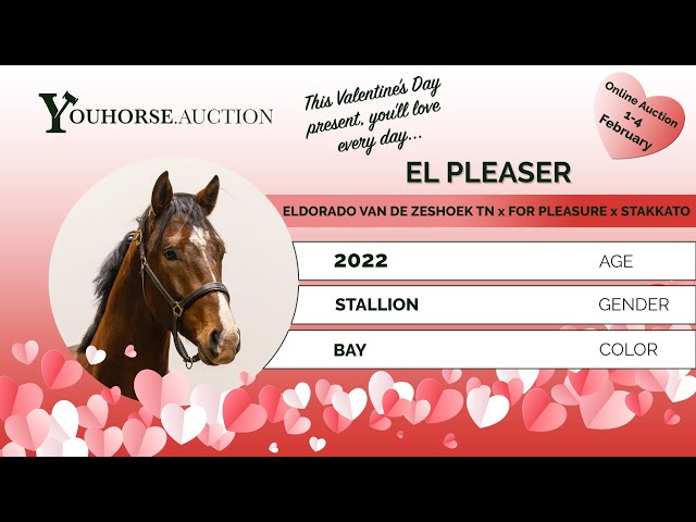 El Pleaser