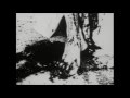 Have a Nice Life - The Unnatural World Movie ...