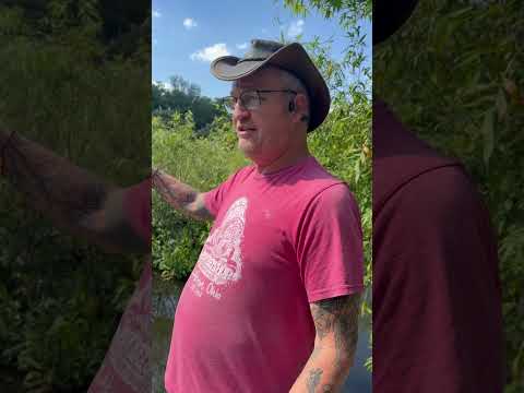 What’s a rookery? #getswamped #shareyourpassion #gators #rookery #shorts #swamp 🤙🏼🤠