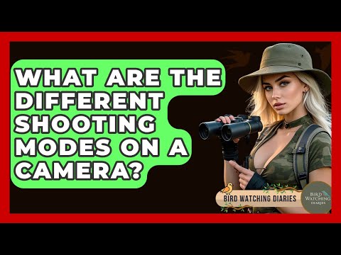 What Are The Different Shooting Modes On A Camera? - Bird Watching Diaries