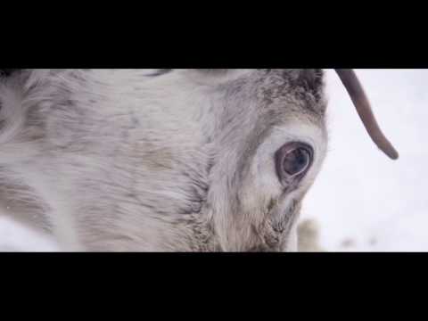 Swedish Lapland – Winter life in Luleå and Piteå