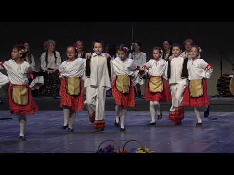 Vesele vojvođanske igre - Škola folkolra