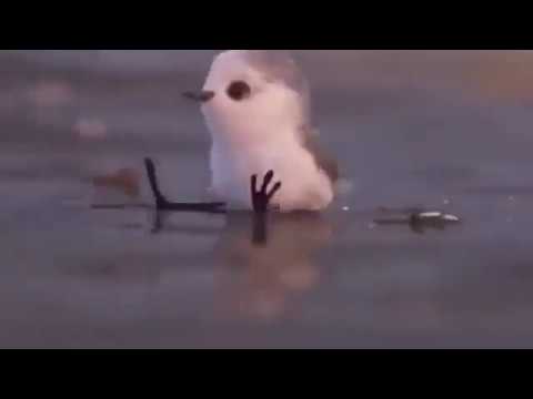 Cortometraje acerca del miedo