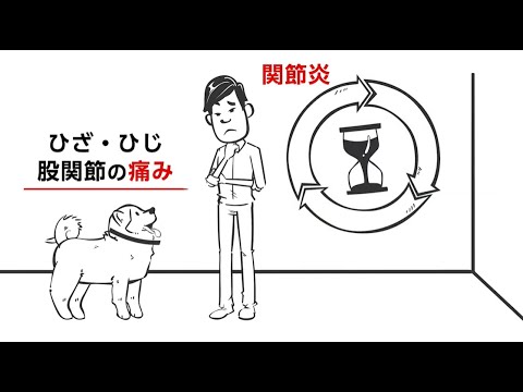 犬の関節炎 - 臨床症状と治療