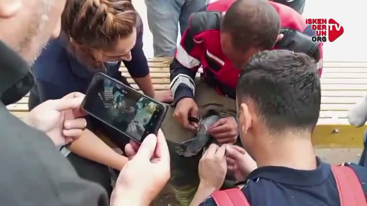 İskenderun Atatürk Parkı’nda Can Pazarı!