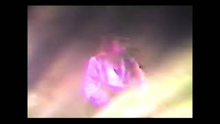The Mission - Wake (RSV) (Tilburg 24/02/1987) Audio enhanced