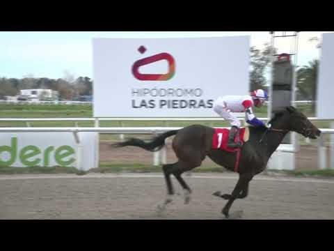 230908 C 09 - GUERRA CHARRUA (BRZ)  - HIPODROMO LAS PIEDRAS