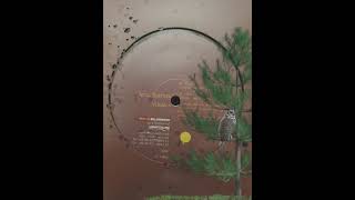 Jerry Bonham ‎- Vispera - B - Vispera (Extended Bass Driver Unit Remix)