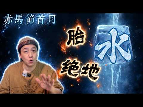 [Red Horse Festival] One whale fall brings forth all things: This is the most dangerous moment fo...