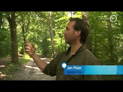 GLD Nieuws 24 juli 2015