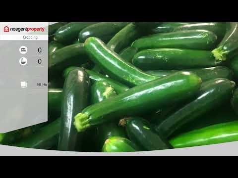 190 Riverview Road, Calavos, QLD 4670, 0 રૂમ, 0 બાથરૂમ, Lifestyle Property