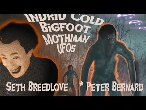 Cryptids & UFOs: For the Love of Monsters