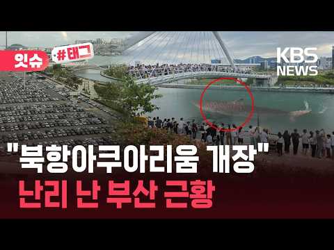 [잇슈#태그] “주차장이 꽉 찼다”…상어 때문에 난리 난 부산 북항 근황 / KBS 2026.09.20.