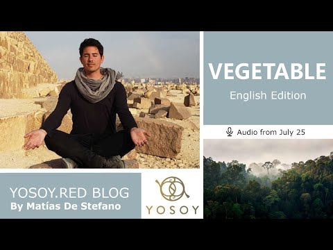 Day 356 - VEGETAL - Matías De Stefano - YOSOY.RED BLOG: Sacral-Physical-Cancer, Read by Carey 7/25